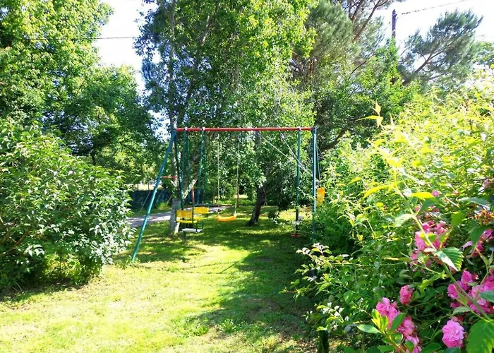 Vakantiehuis Le Gemmeur Soustons